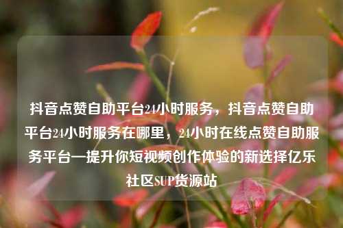 抖音点赞自助平台24小时服务，抖音点赞自助平台24小时服务在哪里，24小时在线点赞自助服务平台—提升你短视频创作体验的新选择亿乐社区SUP货源站  第1张