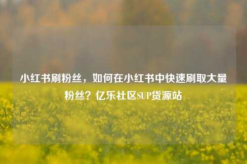 小红书刷粉丝，如何在小红书中快速刷取大量粉丝？亿乐社区SUP货源站  第1张