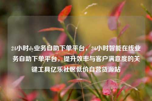 24小时dy业务自助下单平台	，24小时智能在线业务自助下单平台，提升效率与客户满意度的关键工具亿乐社区低价自营货源站  第1张
