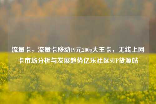 流量卡	，流量卡移动19元200g大王卡，无线上网卡市场分析与发展趋势亿乐社区SUP货源站  第1张