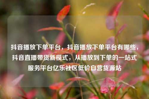 抖音播放下单平台，抖音播放下单平台有哪些，抖音直播带货新模式	，从播放到下单的一站式服务平台亿乐社区低价自营货源站  第1张
