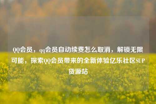QQ会员，qq会员自动续费怎么取消，解锁无限可能	，探索QQ会员带来的全新体验亿乐社区SUP货源站  第1张