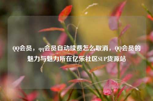 QQ会员，qq会员自动续费怎么取消	，QQ会员的魅力与魅力所在亿乐社区SUP货源站  第1张