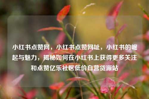 小红书点赞网	，小红书点赞网址，小红书的崛起与魅力，揭秘如何在小红书上获得更多关注和点赞亿乐社区低价自营货源站  第1张