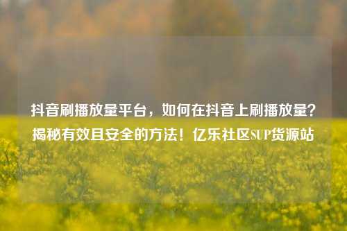 抖音刷播放量平台，如何在抖音上刷播放量？揭秘有效且安全的方法！亿乐社区SUP货源站  第1张