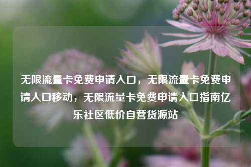 无限流量卡免费申请入口，无限流量卡免费申请入口移动，无限流量卡免费申请入口指南亿乐社区低价自营货源站  第1张