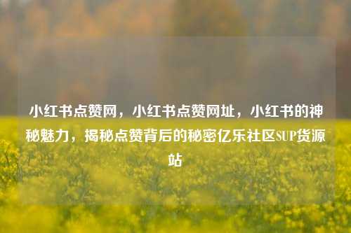 小红书点赞网，小红书点赞网址	，小红书的神秘魅力，揭秘点赞背后的秘密亿乐社区SUP货源站  第1张