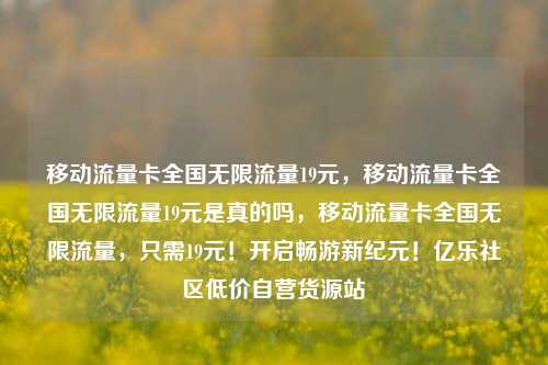 移动流量卡全国无限流量19元，移动流量卡全国无限流量19元是真的吗，移动流量卡全国无限流量	，只需19元！开启畅游新纪元！亿乐社区低价自营货源站  第1张