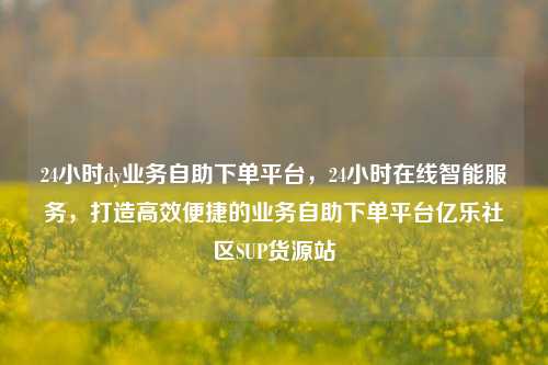 24小时dy业务自助下单平台，24小时在线智能服务，打造高效便捷的业务自助下单平台亿乐社区SUP货源站  第1张