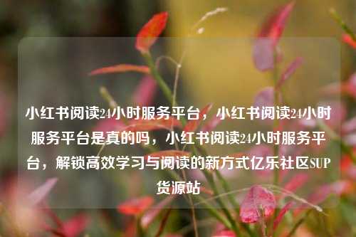 小红书阅读24小时服务平台，小红书阅读24小时服务平台是真的吗，小红书阅读24小时服务平台	，解锁高效学习与阅读的新方式亿乐社区SUP货源站  第1张