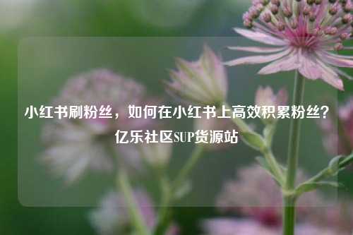 小红书刷粉丝，如何在小红书上高效积累粉丝？亿乐社区SUP货源站  第1张