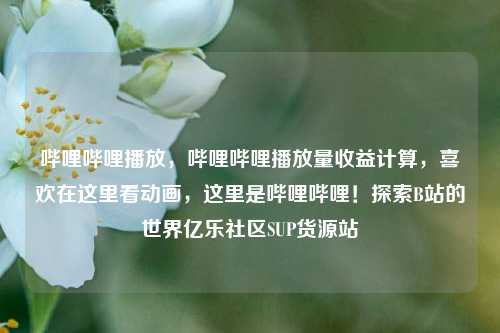 哔哩哔哩播放，哔哩哔哩播放量收益计算，喜欢在这里看动画	，这里是哔哩哔哩！探索B站的世界亿乐社区SUP货源站  第1张