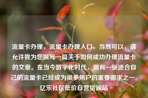 流量卡办理，流量卡办理入口	，当然可以，请允许我为您撰写一篇关于如何成功办理流量卡的文章。在当今数字化时代，拥有一张适合自己的流量卡已经成为很多用户的重要需求之一。亿乐社区低价自营货源站  第1张