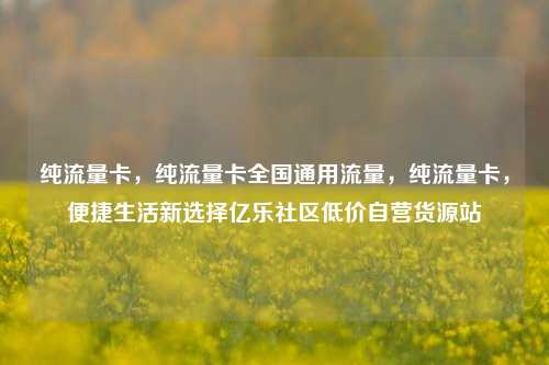 纯流量卡，纯流量卡全国通用流量，纯流量卡	，便捷生活新选择亿乐社区低价自营货源站  第1张