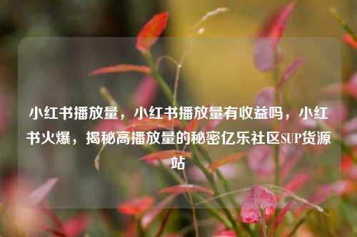 小红书播放量，小红书播放量有收益吗，小红书火爆	，揭秘高播放量的秘密亿乐社区SUP货源站  第1张