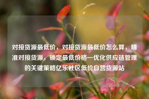 对接货源最低价	，对接货源最低价怎么算，精准对接货源，锁定最低价格—优化供应链管理的关键策略亿乐社区低价自营货源站  第1张