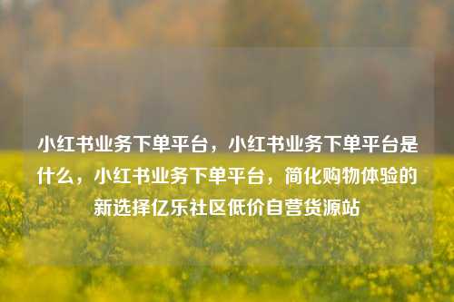 小红书业务下单平台	，小红书业务下单平台是什么，小红书业务下单平台，简化购物体验的新选择亿乐社区低价自营货源站  第1张