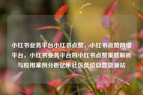小红书业务平台小红书点赞，小红书点赞网络平台	，小红书业务平台的小红书点赞策略解析与应用案例分析亿乐社区低价自营货源站  第1张