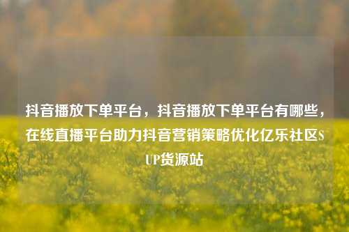 抖音播放下单平台，抖音播放下单平台有哪些，在线直播平台助力抖音营销策略优化亿乐社区SUP货源站  第1张