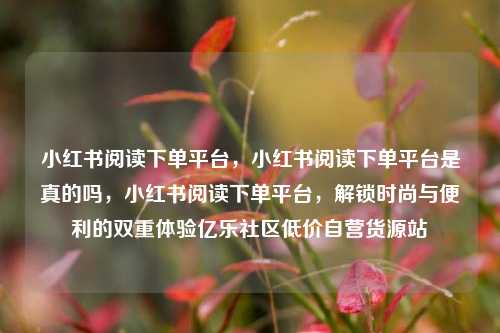 小红书阅读下单平台，小红书阅读下单平台是真的吗	，小红书阅读下单平台，解锁时尚与便利的双重体验亿乐社区低价自营货源站  第1张
