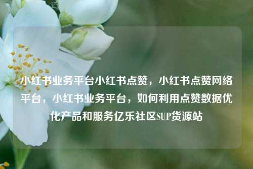 小红书业务平台小红书点赞，小红书点赞网络平台，小红书业务平台	，如何利用点赞数据优化产品和服务亿乐社区SUP货源站  第1张