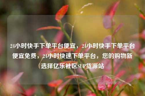 24小时快手下单平台便宜，24小时快手下单平台便宜免费，24小时快速下单平台	，您的购物新选择亿乐社区SUP货源站  第1张