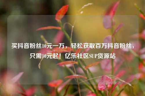 买抖音粉丝10元一万	，轻松获取百万抖音粉丝，只需10元起！亿乐社区SUP货源站  第1张