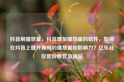 抖音刷播放量，抖音增加播放量的软件	，如何在抖音上提升视频的播放量和影响力？亿乐社区低价自营货源站  第1张