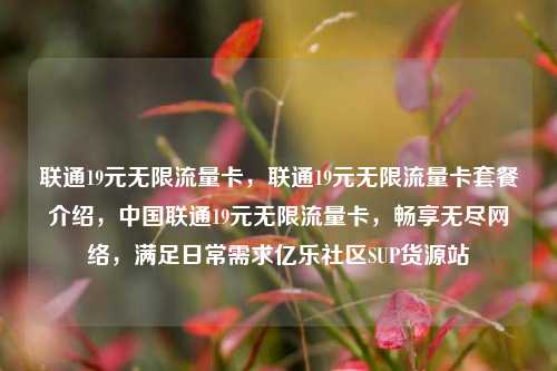 联通19元无限流量卡，联通19元无限流量卡套餐介绍	，中国联通19元无限流量卡，畅享无尽网络，满足日常需求亿乐社区SUP货源站  第1张