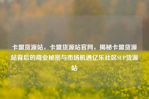 卡盟货源站，卡盟货源站官网	，揭秘卡盟货源站背后的商业秘密与市场机遇亿乐社区SUP货源站  第1张