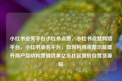 小红书业务平台小红书点赞，小红书点赞网络平台	，小红书业务平台，如何利用点赞功能提升用户互动和营销效果亿乐社区低价自营货源站  第1张