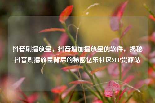 抖音刷播放量，抖音增加播放量的软件，揭秘抖音刷播放量背后的秘密亿乐社区SUP货源站  第1张