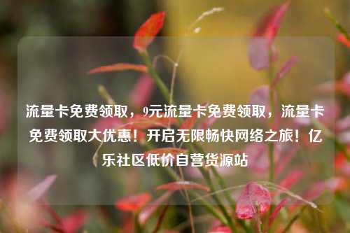 流量卡免费领取，9元流量卡免费领取	，流量卡免费领取大优惠！开启无限畅快网络之旅！亿乐社区低价自营货源站  第1张