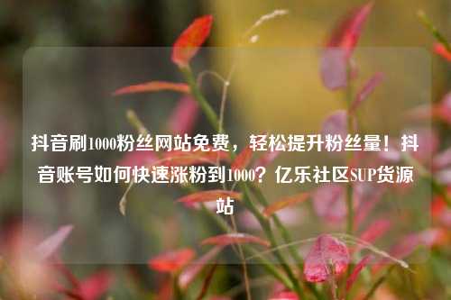 抖音刷1000粉丝网站免费	，轻松提升粉丝量！抖音账号如何快速涨粉到1000？亿乐社区SUP货源站  第1张