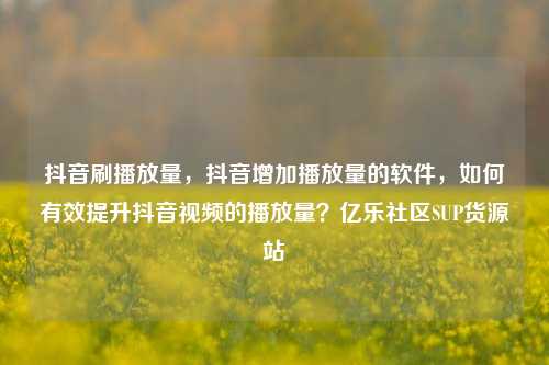抖音刷播放量，抖音增加播放量的软件，如何有效提升抖音视频的播放量？亿乐社区SUP货源站  第1张