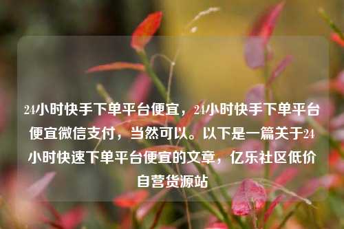 24小时快手下单平台便宜，24小时快手下单平台便宜微信支付	，当然可以。以下是一篇关于24小时快速下单平台便宜的文章，亿乐社区低价自营货源站  第1张