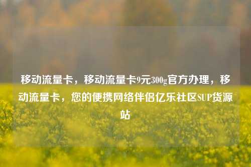 移动流量卡	，移动流量卡9元300g官方办理，移动流量卡，您的便携网络伴侣亿乐社区SUP货源站  第1张