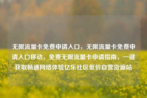 无限流量卡免费申请入口，无限流量卡免费申请入口移动	，免费无限流量卡申请指南，一键获取畅通网络体验亿乐社区低价自营货源站  第1张