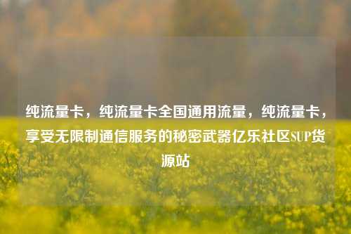 纯流量卡，纯流量卡全国通用流量	，纯流量卡，享受无限制通信服务的秘密武器亿乐社区SUP货源站  第1张