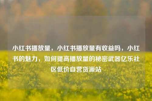 小红书播放量	，小红书播放量有收益吗，小红书的魅力，如何提高播放量的秘密武器亿乐社区低价自营货源站  第1张