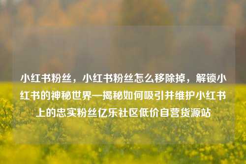 小红书粉丝	，小红书粉丝怎么移除掉，解锁小红书的神秘世界—揭秘如何吸引并维护小红书上的忠实粉丝亿乐社区低价自营货源站  第1张