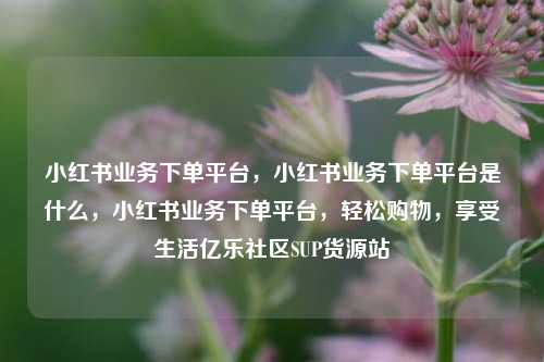 小红书业务下单平台，小红书业务下单平台是什么，小红书业务下单平台	，轻松购物，享受生活亿乐社区SUP货源站  第1张