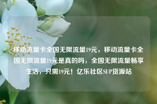 移动流量卡全国无限流量19元，移动流量卡全国无限流量19元是真的吗，全国无限流量畅享生活	，只需19元！亿乐社区SUP货源站  第1张