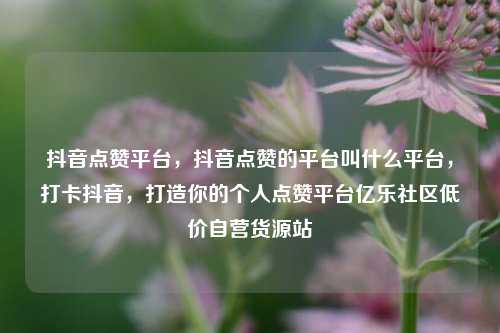 抖音点赞平台，抖音点赞的平台叫什么平台	，打卡抖音，打造你的个人点赞平台亿乐社区低价自营货源站  第1张
