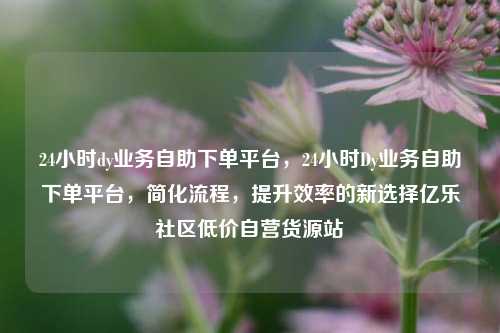 24小时dy业务自助下单平台，24小时Dy业务自助下单平台，简化流程，提升效率的新选择亿乐社区低价自营货源站  第1张