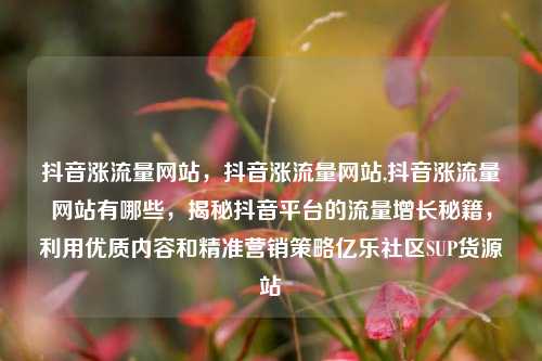 抖音涨流量网站，抖音涨流量网站,抖音涨流量网站有哪些，揭秘抖音平台的流量增长秘籍，利用优质内容和精准营销策略亿乐社区SUP货源站  第1张