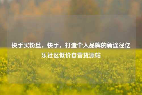 快手买粉丝，快手，打造个人品牌的新途径亿乐社区低价自营货源站  第1张