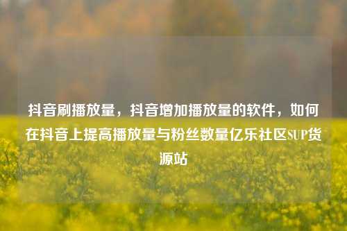 抖音刷播放量	，抖音增加播放量的软件，如何在抖音上提高播放量与粉丝数量亿乐社区SUP货源站  第1张