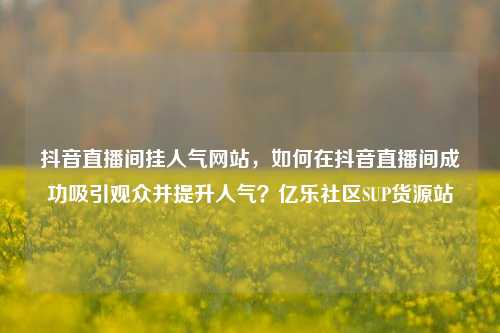 抖音直播间挂人气网站，如何在抖音直播间成功吸引观众并提升人气？亿乐社区SUP货源站  第1张