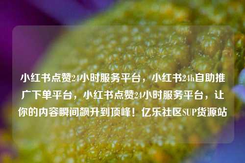 小红书点赞24小时服务平台，小红书24h自助推广下单平台	，小红书点赞24小时服务平台，让你的内容瞬间飙升到顶峰！亿乐社区SUP货源站  第1张